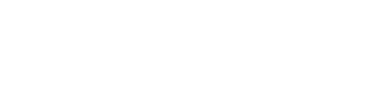 logo de website
